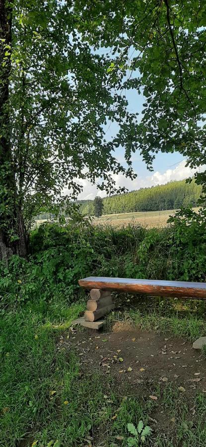 Ferienwohnung Im Gruenen Muldental Langenbach  Bagian luar foto